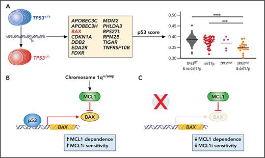 (A) Using gene editing and transcriptional profiling in human MM cell lines, Durand et al defined a 13 gene signature to generate a measure of p53 activity. This p53 score could discriminate patient samples that had biallelic loss of TP53. (B-C) The authors then focused on the function of 1 gene in the p53 score, BAX, and demonstrated that BAX expression resulted in increased dependence of cells on MCL1 and MCL1 inhibitor (MCL1i) sensitivity. Loss of TP53 and subsequent lower BAX expression render cells less dependent on MCL1; therefore, they are less sensitive to MCL1i. Professional illustration by Patrick Lane, ScEYEnce Studios.