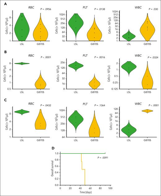 Whole BM transplantation in recipient mice. Red blood cells (RBCs), platelets (PLTs), and WBC counts in the PB of: (A) adult SETBP1LSL and SETBP1G870S mice; (B) lethally irradiated secondary recipients of SETBP1LSL and SETBP1G870S BM, 2 weeks after transplant; (C) sublethally irradiated recipients of SETBP1LSL and SETBP1G870S BM, 6 weeks after transplant. Blood cell counts were obtained using a blood analyzer; (D) OS of sublethally irradiated recipients of SETBP1G870S BM (orange) and SETBP1LSL BM (green).