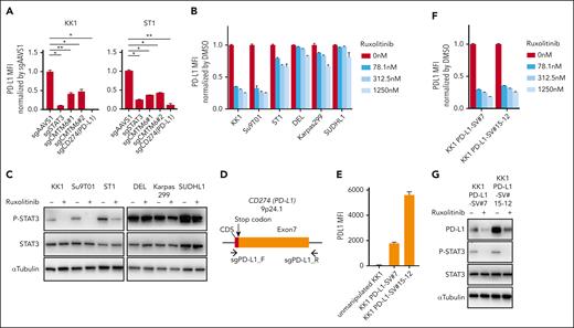 STAT3 inhibition suppresses PD-L1 expression in ATLL cells. (A) Cell surface expression of PD-L1 in KK1 and ST1 ATLL cells transduced with the indicated sgRNA by flow cytometry. PD-L1 mean fluorescent intensity (MFI) was normalized by that of control sgRNA (sgAAVS1)-transduced cells. (B) Cell surface expression of PD-L1 in ATLL (KK1, Su9T01, and ST1) and ALK+ ALCL (DEL, Karpas299, and SUDHL1) cells treated with ruxolitinib for 24 hours by flow cytometry. MFI was normalized by that of dimethyl sulfoxide (DMSO)-treated cells. (C) Immunoblot analysis of p-STAT3, STAT3 and α-tubulin in ruxolitinib-treated ATLL and ALK+ ALCL cells. (D) Schema for the genomic locations targeted by sgRNAs for CRISPR/Cas9-mediated gene editing in the PD-L1 3′-UTR region. (E-F) Cell surface expression of PD-L1 in KK1 PD-L1 SV#7 cells and KK1 PD-L1 SV#15-12 cells by flow cytometry. The cells were treated with the indicated concentrations of ruxolitinib for 24 hours, and MFI was normalized by that of DMSO-treated cells in panel F. (G) Immunoblot analysis of PD-L1, p-STAT3, STAT3, and α-tubulin in KK1 PD-L1 SV#7 cells and KK1 PD-L1 SV#15-12 cells treated with or without ruxolitinib (312.5 nM) for 24 hours. Error bars represent the mean with standard error of the mean (SEM) of replicates. ∗P < .05; ∗∗P < .01, Welch 2-sample t test. All experiments were repeated at least 2 times.