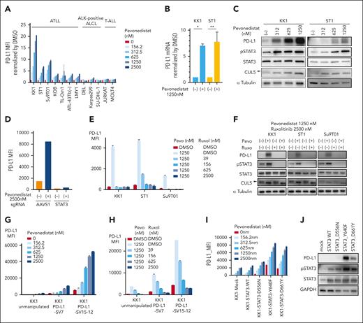 Pevonedistat increases PD-L1 expression in ATLL cells. (A) Cell surface expression of PD-L1 in ATLL, ALK+ ALCL, and T-ALL cell lines treated with the indicated concentration of pevonedistat for 24 hours measured by flow cytometry. The y-axis represents MFI normalized by that of DMSO-treated cells. (B) mRNA expression of PD-L1 in KK1 and ST1 ATLL cells treated with pevonedistat for 24 hours as measured by the TaqMan gene expression assay. (C) Immunoblot analysis of PD-L1, pSTAT3, STAT3, CUL5, and α-tubulin in KK1 and ST1 ATLL cells treated with the indicated amount of pevonedistat for 24 hours. The arrowhead indicates the neddylated form of CUL5, which was decreased by using pevonedistat. (D) ST1 cells transduced with sgSTAT3 together with a GFP reporter or with a control sgAAVS1 were treated with pevonedistat for 24 hours. Cell surface expression of PD-L1 in the GFP-expressing cell populations was measured by flow cytometry. (E) Cell surface expression of PD-L1 in KK1, ST1, and Su9T01 ATLL cell lines treated with the indicated concentrations of pevonedistat and ruxolitinib for 24 hours was measured by flow cytometry. (F) Immunoblot analysis of PD-L1, pSTAT3, STAT3, CUL5, and α-tubulin in KK1, ST1, and Su9T01 ATLL cells treated with the indicated amounts of pevonedistat and ruxolitinib for 24 hours. The arrowhead indicates the neddylated form of CUL5. (G-H) Cell surface expression of PD-L1 in unmanipulated KK1, KK1 PD-L1 SV#7, and KK1 PD-L1 SV#15-12 cells treated with the indicated amount of pevonedistat (G) or with a combination of pevonedistat and ruxolitinib (H) for 24 hours was measured by flow cytometry. (I) Cell surface expression of PD-L1 in the mutated STAT3-transduced KK1 ATLL cells treated with the indicated amount of pevonedistat for 24 hours was measured by flow cytometry. (J) Immunoblot analysis of PD-L1, pSTAT3, STAT3, and GAPDH in the mutated STAT3-transduced KK1 ATLL cells. Error bars represent the mean with SEM of replicates. ∗P < .05; ∗∗P < .01; Welch 2-sample t test. All experiments were repeated at least twice. GFP, green fluorescent protein.