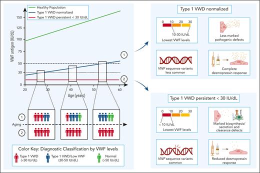 Overview of the relationship between low VWF, type 1 VWD, and progressive aging.