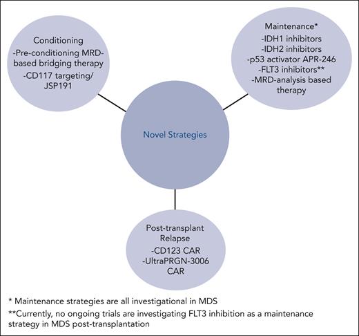 Novel strategies to potentially reduce relapse after transplantation for MDS.