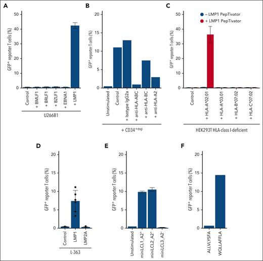 58-11A5 recognizes an LMP1-derived peptide in an HLA-A∗02:01–restricted manner. (A) Coculture of 58-11A5 with U266B1 loaded with EBV protein–spanning peptide pools (PepTivator). Frequencies of GFP+ among all 58α−β− were measured to detect T-cell activation. The plot shows median ± standard deviation from n = 3 independent experiments. (B) CD34+exp of an independent individual were incubated with 58-11A5 in presence of blocking antibodies against HLA-ABC, HLA-BC, or HLA-A2. (C) HLA-class I–deficient HEK293T were transfected with all HLA-class I alleles, 1 at a time, of patient 230 (median recombinant HLA-expression: 54%; range, 37.3%-66.2%), loaded with LMP1 PepTivator, and incubated with 58-11A5. The plot shows median ± standard deviation from n = 3 replicates. (D) LMP1 or LMP2A expressing L-363 were cocultured with 58-11A5 (median LMP1 and LMP2A expression: 7.5%; range, 3.5%-15.3%). The plot shows median ± standard deviation from 6 replicates of n = 2 independent experiments. (E) Coculture of HLA-A∗02:01+ (A2+) or A2− miniLCLs with 58-11A5. The plot shows median ± standard deviation from n = 3 replicates. All plots show frequencies of GFP+ as percentage of 58α−β− cells. “Control” indicates coculture with nontreated/nontransfected cells as negative control. “Unstimulated” indicates 58-11A5 alone. (F) Only WQLLAFFLA of the LMP1 PepTivator pool activated 58-11A5. All other LMP1 PepTivator pool peptides did not activate 58-11A5 as shown for ALLVLYSFA as a representative example.