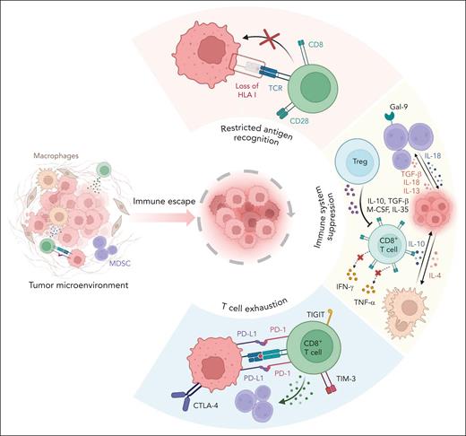 Mechanisms of tumor evasion in MDS. MDS cells escape immune responses and bypass immune-mediated attacks by restricting their antigen recognition, dysregulating several immune checkpoints, and inducing T-cell exhaustion. Gal-9, galectin-9; MDSC, myeloid-derived suppressor cell.