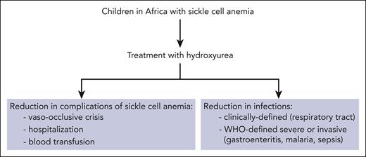 When children in Africa with sickle cell anemia receive hydroxyurea, evidence points to reductions in both complications of sickle cell anemia and risk of infections.