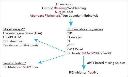 Assessment of bleeding risk in patient with FXI deficiency. This figure represents our suggested stepwise approach for assessing bleeding risk for patients with FXI deficiency before planned surgical interventions. Emphasized words demonstrate the “danger signals” increasing the risk of bleeding. Patient history and surgical site should always be considered. Sites with increased fibrinolytic activity include the genitourinary tract, and the nasal and oral cavities. The dark arrows represent the mandatory laboratory tests that should include bleeding evaluation (CBC, fibrinogen, PT, aPTT, VWD panel, FXI levels, and presence of FXI inhibitor, if relevant), whereas the dotted arrows provide additional information that may be helpful (eg, FXI mutations∗, global assays∗∗ including assessment of clot formation/fibrinolysis). ∗In general, because FXI genotype and levels do not necessarily predict bleeding risk, it is not cost-effective to routinely perform FXI molecular genetic studies. However, among patients with the severest FXI deficiency (FXI < 1%), we suggest confirming the presence of null mutations, because these patients may be at risk of inhibitor development. ∗∗Global assays may be considered for additional hemostatic assessment only in patients with severe FXI deficiency (FXI 0%-20%). CBC, complete blood count; PT, prothrombin time; ROTEM, rotational thromboelastometry; TEG, thromboelastography; VWD panel, von Willebrand antigen and activity (cofactor ristocetin) as well as platelet aggregation.