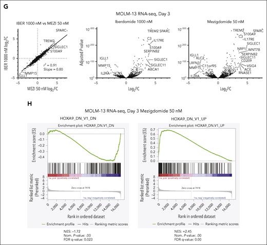 Mezigdomide mediates its effects through potent IKAROS degradation. (A-B) Mass spectrometry in the OCI-AML2 and MV4;11 cell lines after 12 hours of treatment. The y-axis depicts log2 fold change (FC) in abundance for each protein relative to DMSO (dotted line at threshold of ± 1.5-FC), and the x-axis depicts log10P value (dotted line at significance threshold of 10−3). Proteins with log2FC ≤ −1.5-fold that were shared in common after treatment with any of the 3 IMiDs/CELMoDs in each cell line, in addition to CK1α, are labeled. (C) Western blot in the MV4;11 cell line after 8 hours of treatment. (D) Western blot after 18 hours in MOLM-13 cells transduced with pLKO5-GFP (empty vector) and IKAROS overexpression (O/E) constructs: wild-type (WT) IKAROS or a nondegradable mutant IKAROSQ146H O/E. (E-F) In MOLM-13 cells transduced with empty vector and IKAROS O/E constructs: (E) proliferation relative to DMSO control after 9 days of treatment, and (F) apoptosis assessment after 6 days of treatment, with percentage of cells staining positive for annexin and PI by flow cytometry. (E-F) Data pooled from 3 independent experiments; n = 12 for each condition; data represent mean + SD. Statistical analysis with 2-way ANOVA with Tukey multiple comparisons test within each cell line; ∗P < .05, ∗∗P < .01, ∗∗∗∗P < .0001. (G) RNA-sequencing data for MOLM-13 cell line treated with DMSO, IBER 1000 nM, or MEZI 50 nM for 3 days (n = 3 technical replicates for DMSO, IBER, and MEZI). (Left) Correlation between IBER and MEZI gene expression changes; (middle and right) volcano plots depicting log2FC (x-axis) and log10P value (y-axis) for DMSO vs IBER or MEZI. Genes with log2FC < −3 or > +3.5 depicted. (H) Bar code plots depicting gene set enrichment analysis results for gene sets after HOXA9 shRNA knockdown.