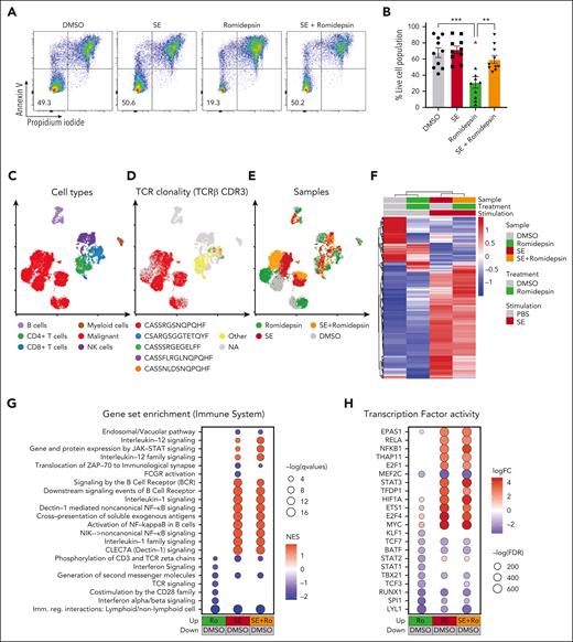 SE largely overrides the transcriptional effect of romidepsin in malignant T cells. (A-B) Representative flow cytometric plots (A; SS8) and quantification (B) of percentage of viable malignant cells from PBMCs of 10 patients with SS (SS4, SS7, SS8, SS10, SS11, SS12, SS13, SS15, SS16, and SS17) treated with 2 nM romidepsin for 72 hours in the presence (SE) or absence (PBS) of SE. Red triangle shows the PBMCs of a patient with SS, which did not respond to romidepsin treatment. Statistical significance was assessed by ordinary 1-way ANOVA followed by Tukey multiple comparison test. ∗∗P < .01; ∗∗∗P < .0005. (C-E) Integrated uniform manifold approximation and projection (UMAP) from the 4 sample conditions (DMSO, romidepsin, SE, and SE + romidepsin) based on both mRNA and surface protein expression using totalVI colored by cell types (C), TCRβ CDR3 clonotype (D), and sample culture conditions (E; SS17). (F) Heatmap showing relative mean expression of malignant T cells after 36 hours treatment with romidepsin in the presence or absence of SE in SS17. Genes were selected based on differential expression between treatment and PBS control with a false discovery rate (FDR) <0.05 and a log2 fold change >0.5 or <−0.5 among any of the 3 treatments, yielding 574 genes in total. (G) Gene-set enrichment analysis (GSEA) of immune system pathways included in the Reactome database comparing 3 treatment conditions after 36 hours of culture (SS17): romidepsin (Ro), SE, and SE + romidepsin with PBS-treated control. Plot shows top 15 pathways from each comparison based on highest absolute normalized enrichment scores (NES) having a q-value <0.05. Other pathways are included in supplemental Figure 2E. (H) Transcription factor activity analysis using DoRothEA transcription factor signatures comparing 3 treatment conditions after 36 hours of culture (SS17): romidepsin, SE, and SE + romidepsin with PBS-treated control. Plot shows top 10 differentially activated transcription factors from each comparison based on highest absolute log2 fold change having an FDR <0.05. DMSO, dimethyl sulfoxide; mRNA, messenger RNA; NK cells, natural killer cells.