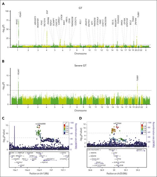 Manhattan plots and regional association plots for GWAS meta-analyses of GT and severe GT. Manhattan plots for GWAS meta-analysis of GT (11 138 cases and 85 294 controls) (A) and severe GT (906 cases and 97 283 controls) (B). GWAS for each hospital was carried out with a logistic regression model and the first to 10th principal components and maternal age as covariates. The x-axis shows the ordered chromosomes, and the y-axis indicates –log10 (P value) for the association tests. The dashed black line represents the genome-wide significance threshold of the P value for GWAS (P = 5 × 10–8). Labels in black indicate the nearest gene of the novel loci. Regional association plots for GWAS meta-analysis of severe GT at 1q23.1 (PEAR1) (C) and 20q13.32 (TUBB1) (D). The x-axis shows the chromosomal positions (GRCh38) and the y-axis indicates –log10(P value) for the association tests. The purple diamond indicates the lead SNP of each locus. The other SNPs are colored based on their LD r2 with the lead SNP. The horizontal dashed gray line represents the genome-wide significance threshold for GWAS (P = 5 × 10–8).