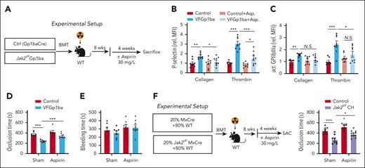 Low-dose aspirin treatment reversed accelerated arterial thrombosis and increased platelet activity in Jak2VF CH. (A) Experimental design of aspirin treatment (in the drinking water at 30 mg/L) in MK lineage–specific Jak2VF. (B) Platelet activation as measured by P-selectin surface expression (B) and GPIIbIIIa activation (JON/A, C) of collagen- or thrombin-stimulated platelets of VF-Gp1ba mice after treatment with low-dose aspirin. (D) FeCl3-induced carotid artery thrombotic occlusion time (seconds) and (E) bleeding time in VF-Gp1ba mice or controls. (F) Experimental setup and quantification of FeCl3-induced carotid artery thrombotic occlusion time (seconds) after treatment with low-dose aspirin (in the drinking water at 30 mg/L) in Jak2VF CH and controls. ∗P < .05; ∗∗P < .01; ∗∗∗P < .001; Student t test or Mann-Whitney U test or 1-way analysis of variance as appropriate.