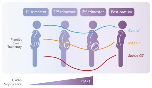 Expression of PEAR1 variants correlates with platelet counts during pregnancy. Professional illustration by Somersault18:24.
