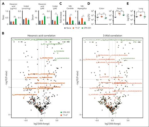 Production of metabolites and colonization resistance to fungi are promoted by CPX-351. (A) Levels of hexanoic acid and 3-IAld in the feces and serum of “7 + 3”- or CPX-351–treated mice. (B) Volcano plots showing the Spearman correlation analysis between the fecal microbiota at the sequence variant level and metabolites, according to the color legend. In the volcano plot, the difference between groups, expressed as logarithmic fold-change, is plotted vs the adjusted P value (Wilcoxon) of differential abundance evaluated with Q2-Aldex2. Horizontal dashed lines represent P = .1; P = .05; and P = .01. Vertical dashed lines represent fold change = 2. Colored taxa are the 30% with the strongest positive correlation values among those genera significantly associated by LEfSe (P < .05) with a treatment. Detection of fungi in the feces (C) by 18S RNA and (D) colony forming units in the feces and colon of Candida albicans–infected mice and (E) lung of Aspergillus fumigatus–infected mice treated with “7 + 3” combination or CPX-351 at 2 days after infection. Data are representative of 2 or 3 independent experiments. Each in vivo experiment includes 6 mice per group. Data are represented as mean ± SEM. ∗P < .05; ∗∗P < .01; ∗∗∗P < .001; treated vs untreated (None) mice, CPX-351 vs “7 + 3” treatment. One-way ANOVA, Bonferroni multiple comparison test.