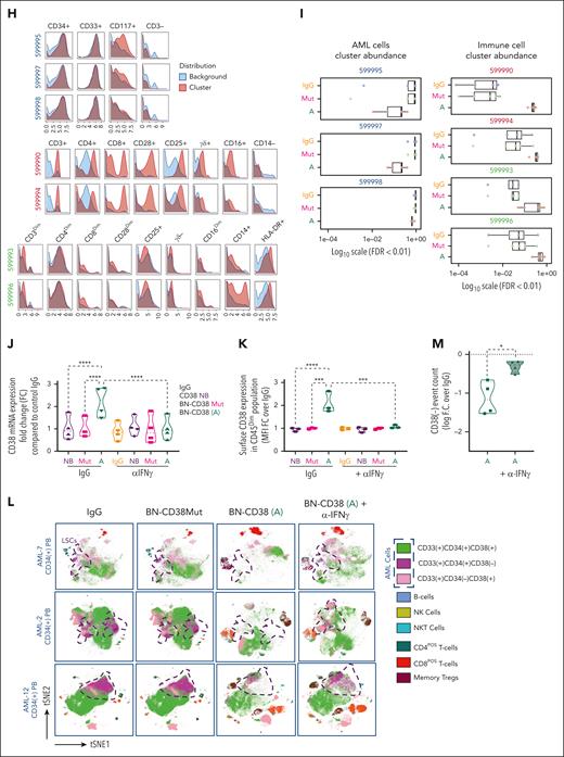 IFN-γ plays a pivotal role in BN-CD38 antileukemic activity. (A-I,L-M) Total MNCs of 7 patients with AML (see supplemental Table 1) were treated with 1.0 ng/mL of BN-CD38, BN-CD38Mut, or control human IgG for 5 days. Moreover, cells from 4 of the patients were also treated with BN-CD38 (1.0 ng/mL) and 2.0 μg of αIFN-γ antibody for 5 days. The treated MNCs were subjected to CyTOF immunophenotyping comprising 36 surface markers tailored to detect AML primary cells and different immune subsets. Analysis was performed with the Cytobank platform. (A) Supervised high-fidelity FlowSOM (“self-organizing maps”) based on vi-SNE 2D analysis for 2 representative patients with AML (1 PB and 1 BM) showing that BN-CD38 reduces CD38pos and CD38neg AML cells and expands T-cell subsets. Equal number of events were analyzed for each treatment group for each patient, and bulk MNCs were gated. (B-C) Violin plots showing BN-CD38 but not BN-CD38Mut significantly decreases CD38pos and CD38neg AML cells event count. (D-F) Violin plots showing BN-CD38 and not BN-CD38Mut expands CD8pos effector memory (EM) and terminally differentiated EM CD45RApos cells (TEMRA), memory T regulatory cells (Tregs), and NK T cells. (G-H) Data-driven self-stratifying CITRUS (cluster identification, characterization, and regression) analysis of 5 CD34pos AML PB samples subjected to CyTOF immunophenotyping revealed that 7 clusters (red circles) were significantly changed (FDR < 0.01) between BN-CD38 and control groups (IgG and BN-CD38Mut). Clusters (599995, 599997, and 599998) were significantly less abundant with BN-CD38 treatment and were enriched with AML specific markers CD34, CD33, and CD117 (c-Kit), and negative for CD3 T-cell marker. Clusters (599990, 599993, 599994, and 599996) were significantly abundant with BN-CD38 treatment and are enriched with T-cell surface markers and phagocytic classical monocytes (CD14+CD16negHLA-DR+). (I) Bar graphs of 7 clusters differentially and significantly (FDR < 0.01) changed with BN-CD38 compared with control human IgG and BN-CD38Mut. (J) Total AML cells of 4 patients with AML were treated with 1.0 ng/mL BN-CD38, BN-CD38Mut, CD38 NB, and control human IgG in combination with 2.0 μg rat control IgG or 2.0 μg rat anti-human IFN-γ antibody for 48 hours. RNA was extracted and subjected to CD38 qRT-PCR. Each sample was normalized to GAPDH followed by normalization to control human IgG for each patient and shown as F.C. over IgG. Two-way ANOVA with multiple comparisons was used to calculate statistical significance between different groups; ∗∗∗∗P < .0001. (K) Cells treated in panel J were also collected and subjected to flow cytometry surface staining of CD45, CD34, and CD38. CD38 expression was determined in CD45DIM AML population. Two-way ANOVA with multiple comparisons was used to calculate statistical significance between different groups; ∗∗∗P < .001 and ∗∗∗∗P < .0001. (L) Four of the patient samples (4 PB samples from patients with CD34pos) were also treated with BN-CD38 (A; 1.0 ng/mL) and 2.0 μg of αIFN-γ antibody for 5 days. The treated MNCs were subjected to CyTOF immunophenotyping. Unsupervised high-fidelity FlowSOM (self-organizing maps) based on vi-SNE 2D analysis for PB-derived MNCs of 3 representative patients with AML showing that anti-human IFN-γ antibody restores AML cells, specifically LSCs in the presence of BN-CD38. (M) Violin plot representation showing that anti-human IFN-γ antibody in the presence of BN-CD38 rescues CD34posCD38neg LSCs compared with BN-CD38 alone. For panels B through F and panel M, event counts of BN-CD38 (A) and BN-CD38Mut were normalized to control human IgG and normalization was converted to log scale F.C. The paired Student t test was used to calculate statistical significance; ∗P < .05; ∗∗P < .01; ∗∗∗P < .001; and ∗∗∗∗P < .0001.