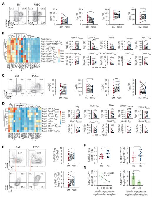 Mobilized grafts from patients with myeloma contain high numbers of effector/effector memory CD8 T cells and Tregs. BM and PBSC were collected from the same patients with myeloma (n = 14-18). We performed FACS analysis to determine the phenotype of T cells in the BM and PBSC. Data from the BM and PBSC were combined and unbiased clustering was performed to visualize each population using FlowSOM. A heatmap was generated based on the expression levels of the flow cytometry markers. (A) Representative FACS plots and frequency of naïve and memory subsets in CD8 T cells. (B) Heatmap of marker expression and the frequency of each CD8 T-cell population. (C) Representative FACS plots and frequency of naïve and memory subset of conventional CD4 T cells. (D) Heatmap of marker expression and the frequency of each CD4 T-cell population. (E) Representative FACS plots of CD25+CD127−CD4 Tregs and the proportion of TIGIT+ Treg and TIGIT+CD39+ Treg. Each red dot and blue square represent a single BM and PBSC sample, respectively. Paired BM and PBSC are connected by solid line. (F) Frequency of TIGIT+ Treg and TIGIT+CD39+ Treg in PBSC from healthy donors (HD) and patients with myeloma (Pts). Wilcoxon matched pairs signed rank test for paired comparison and Welch test for 2 samples comparison (n = 18 per group). (G) Months to progressive myeloma after stem cell transplantation in cytogenetic high-risk patients with at least 12 months of follow-up relative to Treg within the stem cell grafts. ∗P < .05, ∗∗P < .01, ∗∗∗P < .001, ∗∗∗∗P < .0001.
