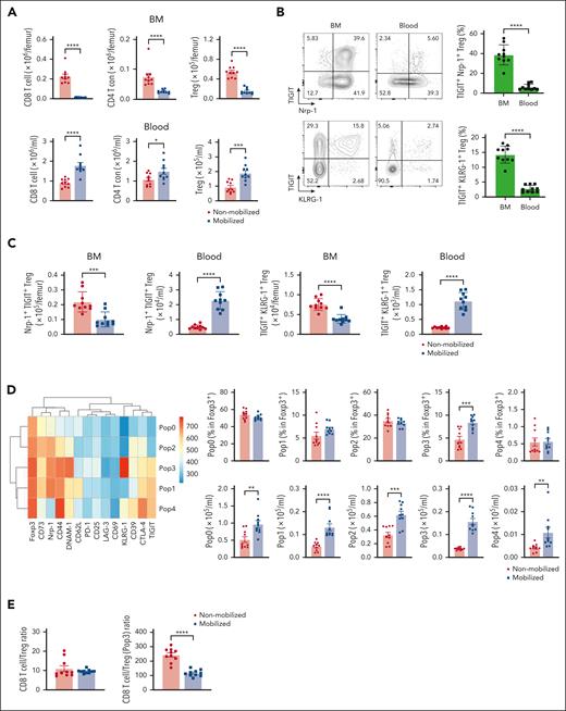 Bone marrow Tregs with an immunosuppressive phenotype are mobilized into the blood during SCM. FoxP3-GFP-DTR mice were treated with G-CSF and AMD3100 or PBS for 5 days. BM and blood were collected from the treated mice after mobilization. The number and phenotype of Tregs in the BM, blood, and spleen were assessed by flow cytometry. (A) Total number of CD8 T cells, conventional CD4 T cell, and Tregs in the BM and blood. Tregs were identified using expression of green fluorescent protein (GFP). (B) Representative FACS plots of Tregs in the BM and blood from naïve mice. The proportion of TIGIT+Nrp-1+ and TIGIT+KLRG-1+ are shown. (C) Total number of TIGIT+Nrp-1+ and TIGIT+KLRG-1+ Tregs in the BM and blood with and without mobilization. (D) Heatmap depicts the expression levels of each marker on Tregs in mobilized and nonmobilized blood. The total number of each population is shown. (E) CD8/Treg and CD8/immunosuppressive Tregs (Pop3) with or without mobilization. Data are combined from 2 independent experiments. Data represents mean ± SEM. Mann-Whitney test for 2 sample comparison. ∗P < .05, ∗∗P < .01, ∗∗∗P < .001, ∗∗∗∗P < .0001.