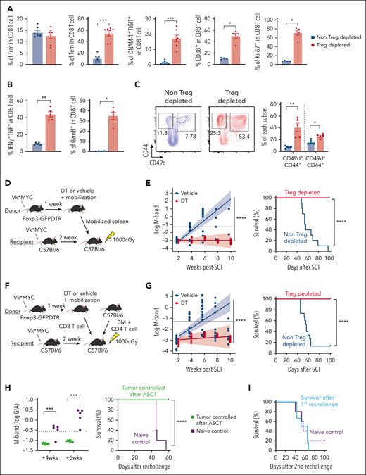 Myeloma-experienced CD8 T cells generated during SCM with Treg depletion mediate potent myeloma-specific immunity after ASCT. MM-bearing FoxP3-DTR donor mice were treated with DT or vehicle control during mobilization with G-CSF and AMD3100. T cells were harvested from spleens containing mobilized cells unless otherwise specified. (A-C) Phenotype and function of antigen-experienced memory (CD44+CD49d+) and virtual memory (TVM, CD44+CD49d–) CD8 T cells in spleens from mice treated with DT (Treg-depleted) or vehicle control (non-Treg-depleted) during mobilization (n = 5 per group from 2 independent experiments). (D-G) MM-bearing recipient mice were lethally irradiated and transplanted with mobilized splenocytes including 5 × 106 T cells from Treg-depleted or non-Treg-depleted donors (D-E; n = 10 per group) or 10 × 106 BM cells and 2 × 106 CD4 T cells from nonmobilized B6 donors and 2 × 106 CD8 T cells from mobilized Treg-depleted or non-Treg-depleted MM-bearing donors (F,G; n = 15 per group from 2 independent experiments). Recipient mice were monitored for survival and tumor burden using M-band (G/A ratio) level. Dotted line indicates a statistically determined threshold for myeloma relapse. (H) M-band and survival after tumor rechallenge in long-term survivors (>100 days after ASCT) who were transplanted with CD8 T cells from Treg-depleted donors. Naïve B6 mice were injected with the same tumor as a nonimmune control. (I) Mice from (H) were then rechallenged with a different clone of Vk∗MYC (Vk12598) and their survival was monitored. Data represents mean ± SEM. Mann-Whitney test for 2 sample comparison and log-rank test for survival data. ∗P < .05, ∗∗P < .01, ∗∗∗P < .001, ∗∗∗∗P < .0001.