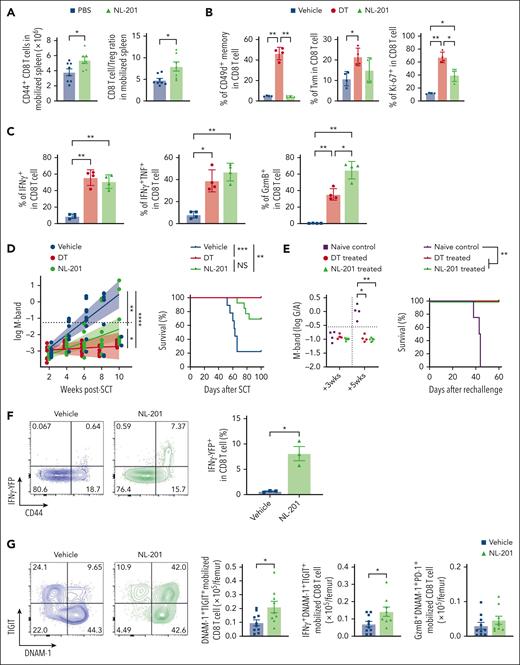An IL-2/IL-15 mimetic generated protective myeloma-specific CD8 T cells during SCM. MM-bearing B6 or FoxP3-GFP-DTR mice were treated with DT, NL-201 or vehicle control during mobilization with G-CSF and AMD3100. CD8 T cells were harvested from mobilized spleen and transplanted with BM and CD4 T cells from naïve B6 into irradiated MM-bearing recipient mice. (A) Total memory CD8 and CD8 T-cell/Treg ratio in the spleen of mice treated with NL-201 and vehicle during mobilization (n = 6-9 per group from 3 independent experiments). (B-C) Phenotype and cytokine production of antigen-experienced memory (CD44+CD49d+) and virtual memory (TVM, CD44+CD49d–) CD8 T cells in mobilized grafts (n = 4 /group from 2 independent experiments). (D) M-band and survival after ASCT (n = 9-13 per group from 2 independent experiments). (E) Mice with long-term tumor control after ASCT were rechallenged with the same tumor clone. Naïve B6 mice were injected with tumor cells as controls. Mice were monitored for tumor burden using M-band and survival (n = 4-6 per group from 1 experiment). (F-G) MM-bearing HULK donor mice (IFNγ-YFP × IL-10-GFP × FoxP3-RFP reporter) were treated with NL-201 or the control vehicle during mobilization. Transplantation was performed as above. (F) Representative FACS plots and the frequency of IFNγ-YFP+ CD8 T cells in the mobilized graft (n = 3 per group from 2 independent experiments). (G) Representative FACS plots and the total number of each subset of CD8 T cells from the mobilized graft 2 weeks after transplantation (n = 9-10 per group from 2 independent experiments). Mann-Whitney test for 2 sample comparison, One-way ANOVA for multiple samples comparison, and log-rank test for survival data. ∗P < .05, ∗∗P < .01, ∗∗∗P < .001.