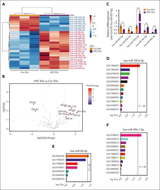 APC-released EVs are enriched with anti-inflammatory miRs. EVs isolated from HUVECs after treatment with a control vehicle or APC (100 nM) for 8 hours were quantified by NTA, and an equal number of EVs (1 × 109) were subjected to miR analysis by deep sequencing (UT Southwestern Core). (A) From the sequencing data, the top 25 most abundant and differentially expressed miRs are shown in the heat map. (B) Group comparison of scaled expression data set using nonparametric test visualized by volcano plot showing differentially expressed miRs between the APC-released EVs and control EVs with an adjusted P value < .05 and fold change of >2.0. (C) Validation of differentially expressed miRs between control EVs and APC-released EVs identified by deep sequencing. EVs isolated from HUVECs after challenging with a control vehicle or APC were subjected to miR isolation by mirVana miRNA isolation kit. The relative abundance of hsa-miR-423-5p, hsa-miR-92b-3p, hsa-miR-181b-5p, hsa-miR-30c-5p, and hsa-miR-362-5p were validated by quantitative real-time polymerase chain reaction. (D-F) GO enrichment analysis of inflammation-related target genes of differentially upregulated miRs such as hsa-miR-181b-5p (D), hsa-miR-28-3p (E), and hsa-miR-29b-1-5p (F) influencing various proinflammatory pathways (denoted in figures as “GO” identification number) (GO:1900227, Positive Regulation of NLRP3 Inflammasome Complex Assembly; GO:1900225, Regulation of NLRP3 Inflammasome Complex Assembly; GO:0150078, Positive Regulation of Neuroinflammatory Response; GO:0002675, Positive Regulation of Acute Inflammatory Response; GO:0090594, Inflammatory Response to Wounding; GO:0002526, Acute Inflammatory Response; GO:0050729, Positive Regulation of Inflammatory Response; GO:1900015, Regulation of Cytokine Production Involved in Inflammatory Response; GO:0006954, Inflammatory Response; GO:1900017, Positive Regulation of Cytokine Production Involved in Inflammatory Response; GO:0150077, Regulation of Neuroinflammatory Response; GO:0050727, Regulation of Inflammatory Response; GO:0106014, Regulation of Inflammatory Response to Wounding; and GO:0002861, Regulation of Inflammatory Response to Antigenic Stimulus). ∗P < .05; ∗∗P < .01; and ∗∗∗P < .001.
