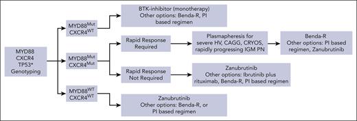 Genomic-based treatment algorithm for patients with symptomatic, treatment-naïve WM. Clinicians should consult local regulatory approvals and guidelines for BTKi status and use in WM. Algorithm represents the recommendations of the authors based on clinical trial data summarized in the text, consensus recommendations (as previously published62), and their practice experiences with patients with WM. Recommendations are intended for educational purposes. Rituximab should be held if chemoimmunotherapy is chosen until the sIgM levels are <4000 mg/dL to avoid triggering or exacerbating a hyperviscosity crisis. Benda-R can be considered for patients with bulky adenopathy or extramedullary disease. PI-based therapy or Benda-R can be considered for symptomatic amyloidosis with autologous stem cell transplantation as consolidation in select patients (as discussed elsewhere66). Rituximab alone, or with ibrutinib for MYD88Mut or Benda-R are options for patients with IgM demyelinating peripheral neuropathy depending on severity and pace of progression. Maintenance rituximab may be considered in patients aged >65 years responding to chemoimmunotherapy with rituximab (as discussed elsewhere62). Rituximab, cyclophosphamide, and dexamethasone (RCD) is an option for chemoimmunotherapy if Benda-R is not accessible (as discussed elsewhere62). ∗Zanubrutinib may also be prioritized for those with TP53 alterations (as previously reported35). Clinical trial options should always be considered. Benda, bendamustine; CAGG, cold agglutinins; CRYOS, cryoglobulinemia; HV, hyperviscosity; PN, peripheral neuropathy; R, rituximab.