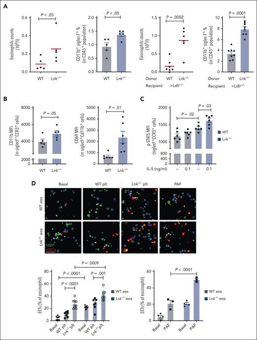 Characteristics of eosinophils and increased EETs in LNK deficiency. (A) Eosinophil counts or percentage in CD45+ cells in chow-fed and WTD mice. (B) Eosinophil activation marker (CD11b and CD69) expression in eosinophils from peripheral blood as assessed by flow cytometry. (C) Phospho-stat5 expression at basal and IL-5–stimulated conditions in WT and Lnk−/− BM-derived eosinophils assessed by flow cytometry. (D) Representative images and quantification of EETs (H3Cit+, red and MBP, green) at basal and stimulated conditions in WT and Lnk−/− BM-derived eosinophils. Scale bar, 100 μm. IgG, immunoglobulin G.