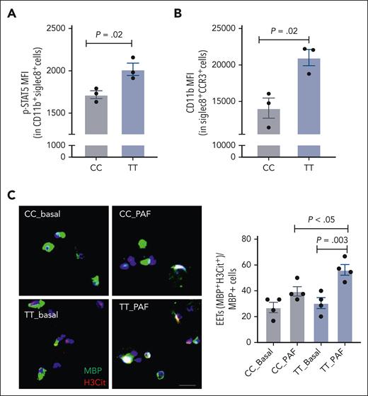 Increased activation and EETosis in LNK(TT) cells. (A) p-STAT5 level was analyzed on day 18 in CD45+CD11b+Siglec8+ LNK(TT) and LNK(CC) cells (n = 3). Unpaired t test. (B) Surface CD11b level on day 18 in LNK(TT) and LNK(CC) cells (n = 3). (C) LNK(TT) and LNK(CC) eosinophils were stimulated with PAF for 4 hours. Representative images of EETosis. Green, MBP; red, citrullinated histone (H3Cit); blue, DAPI. Eosinophil extracellular trap (EET) numbers were normalized to MBP positive cell numbers; 2-way analysis of variance. Scale bar, 50 μm. Data are expressed as mean ± SEM.