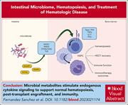 Graphical abstract for: Blood and guts: how the intestinal microbiome shapes hematopoiesis and treatment of hematologic disease;
