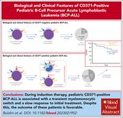 Graphical abstract for: CD371-positive pediatric B-cell acute lymphoblastic leukemia: propensity to lineage switch and slow early response to treatment;