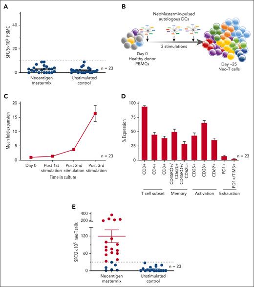 Generation and characterization of neo-T cells derived from healthy donors. (A) Reactivity of PBMCs after exposure to neoantigen mastermix (peptide library encompassing 14 selected AML neoantigens) or medium only (negative control), as measured by IFN-γ ELISpot. Data presented as SFC per 5 × 105 input cells; bars and error bars indicate mean and standard error of mean (SEM), respectively. (B) Schematic of ex vivo expansion protocol. (C) Fold expansion of neo-T cells achieved over 3 stimulations in culture, determined by cell counting based on trypan blue exclusion (n = 23). (D) Immunophenotyping of expanded cells as assessed by flow cytometry, for the expression of T-cell subset, memory, activation, and exhaustion markers (n = 23). (E) Specificity of expanded cells toward the neoantigen mastermix or medium only, as measured by IFN-γ ELISpot (n = 23). Specific cells are defined as ≥30 SFC per 2 × 105 cells (indicated by red dots).