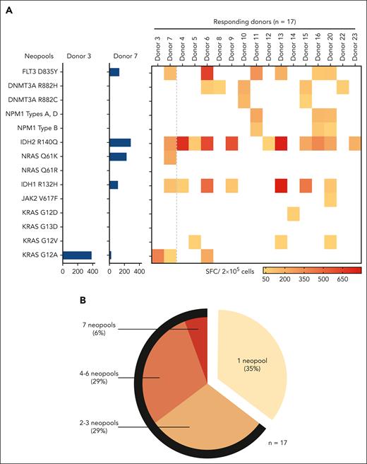 Specificity of neo-T cells toward individual neoantigens. (A) Representative example from 2 donors showing IFN-γ ELISpot responses toward each of the 14 neopools individually (left; data presented as SFC per 2 × 105 input cells) and summary data for all donors (right). (B) The percentage of neo-T cell lines showing responses to 1, 2 to 3, 4 to 6, and 7 neopools. The black arc indicates the proportion of multispecific neo-T cells (ie, neo-T cells recognizing ≥2 neoantigens).