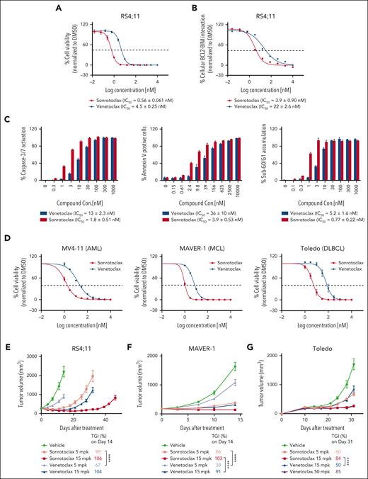 Sonrotoclax is more efficacious than venetoclax in both cancer cells and xenograft mouse models. (A) Cell viability inhibition was measured using a CellTiter-Glo luminescence assay. (B) Disruption of the BCL2:BIM complex was detected by a cell-based competitive Meso Scale Discovery (MSD) assay. (C) The activation of caspase-3 and caspase-7 (caspase-3/7) was measured in RS4;11 cells with a Caspase-Glo kit. Annexin V+ cells were quantified by FITC annexin V staining and FACS analysis in RS4;11 cells. The accumulation of sub-G0/G1 in RS4;11 cells was assessed by PI staining and FACS analysis. The data are presented as the mean values ± SDs for 3 independent experiments, with representative plots shown in the figures. EC50, half maximal effective concentration. (D) MV4-11 (AML), MAVER-1 (MCL), and Toledo (DLBCL) cells were treated with serial dilutions of sonrotoclax or venetoclax for 2 days, and cell viability inhibition was measured by a CellTiter-Glo luminescence assay. IC50 values are presented as the mean values ± SDs for 3 independent experiments. (E-G) The in vivo antitumor activity of sonrotoclax and venetoclax was evaluated in human RS4;11 (E), MAVER-1 (F), and Toledo (G) xenograft models. Mice were treated with sonrotoclax or venetoclax once daily at the indicated doses by oral gavage. The tumor volumes are presented as the mean values ± standard error of the mean (SEMs) of 8 (E) or 10 (F-G) mice in each group; ∗∗∗∗P < .0001. EC50, half maximal effective concentration, FACS, fluorescence-activated cell sorting; FITC, fluorescein isothiocyanate; mpk, milligrams per kilogram; PI, propidium iodide.