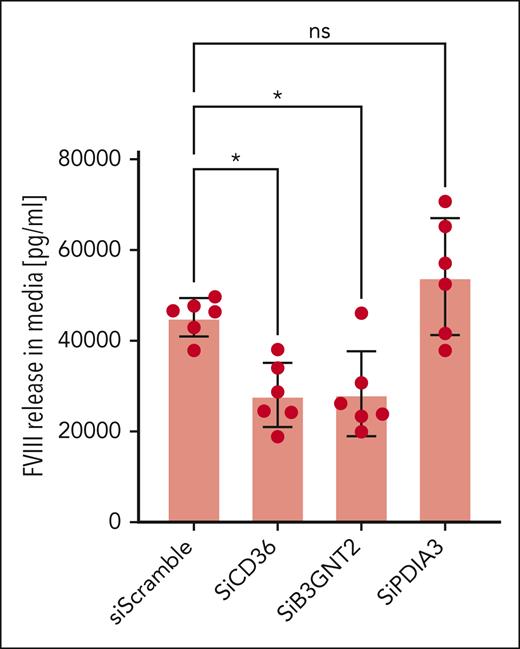 Candidate genes identified by GWAS regulate FVIII release from HLECs. HLECs were transfected with small interfering RNA (siRNA), including control siRNA (Scramble Ct), siRNA directed against CD36 (siCD36), siRNA directed against B3GNT2 (siB3GNT2), and siRNA directed against PDIA3 (siPDIA3). The cells were washed and fed with fresh media, cultured for 24 hours, and the media was collected. FVIII concentrations in the cell culture media were measured by enzyme-link immunosorbent assay (n = 6 ± SD; ∗P < .05 compared with Scramble Ct). SD, standard deviation.