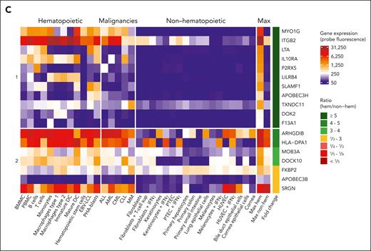 Tissue distribution of MiHAs. Gene expression analysis was performed to distinguish hematopoietic-restricted MiHAs from MiHAs that are broadly expressed or at higher levels in nonhematopoietic tissues. (A) In the single cell section of the HPA, gene expression was reported for 123 of 129 genes coding for 159 MiHAs. Highest gene expression values (nTPM, normalized transcripts per million) for each MiHA in nonhematopoietic (nonhem) and hematopoietic cell clusters (hem) present in tissues involved in GVHD were compared (inner circle: nonhematopoietic cells in skin, esophagus, stomach, small intestine, colon, rectum, liver, lung, bronchus, eye and thymus; second circle: hematopoietic cells including B cells, plasma cells, T cells, natural killer cells, monocytes, dendritic cells, macrophages, Langerhans cells, Kupffer cells, granulocytes, erythroid cells, platelets, and mixed immune cells in GVHD tissues as well as PBMCs and spleen). Cell clusters of undefined mixed cell types were excluded. The maximum expression value in hematopoietic cells (inner lane, third circle) was compared to the maximum value (outer lane, third circle) in nonhematopoietic cell clusters. Genes were grouped based on the calculated ratio (H/NH; outer circle). (B) Indicated is the number of targeted MiHAs in the 39 patients, colored based on their gene expression profiles as defined in panel A. MiHAs with lacking gene expression data are displayed in gray. (C) Microarray data from healthy and malignant hematopoietic cells as well as nonhematopoietic cells cultured under inflammatory conditions were used to analyze gene expression of 20 genes with a ratio ≥5 in hematopoietic cells in the HPA data set. No conclusion could be drawn for 2 genes (CCL4 and BCL2A1) with insufficient probe fluorescence. Of the remaining 18 genes, 11 genes coding for 14 MiHAs showed low expression in nonhematopoietic cell types and therefore have potential as targets for immunotherapy to stimulate GVL reactivity after alloSCT without GVHD (group 1). The other 7 genes showed high expression in ≥1 nonhematopoietic cell types (group 2). DC, dendritic cells; HUVEC, human umbilical vein endothelial cells; PTEC, proximal tubular epithelial cells; sup, supernatant.