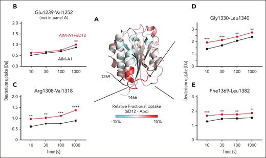 Comparative HDX of AIM-A1 protein with and without bound 6D12. (A) Relative deuterium uptake displayed on the 3D structure of the A1 domain and partial AIM (PDB 1SQ0). Residues experiencing more exchange in the presence of 6D12 are colored in shades of red, no difference in exchange is displayed as white, and decreased exchange is shown in cyan. Note that many residues in the AIM were unresolved in this structure. (B-E) Uptake plots of representative peptides in AIM-A1 with (red) and without (black) bound 6D12 at 10, 30, 100, and 1000 seconds of exchange. Peptide 1239-1252 (B) is a NAIM-peptide. Peptide 1308-1318 (C) is in the α1β2 loop of the A1 domain, peptide 1330-1340 (D) is in the β3α2 loop, and peptide 1369-1382 (E) is in the α3β4 loop. For each time point, experiments were performed in triplicate. ∗∗∗∗P < .0001 using a Student t test; ∗∗∗P < .001; ∗∗P < .01; ∗P < .05.