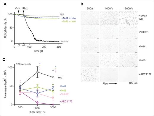 Nanobodies Nd4 and Nd6 inhibit the activity of human VWF. (A) Ristocetin-induced platelet aggregation traces with or without the addition of 1 μM Nd4 or Nd6. Human platelet-rich plasma (PRP) was gently stirred with addition of each nanobody at 30 seconds, followed by addition of 1.5 mg/mL ristocetin at 60 seconds. (B) Representative flow chamber surface images at 120 seconds of human whole blood perfusion on collagen. Recalcified whole blood labeled with DIOC-6 was mixed with noted nanobody or aptamer inhibitors and then perfused over a collagen surface at given shear rates. The scale bar is 100 μm. Platelet adhesion was measured by thresholding pixel densities to calculate the area covered by adherent platelets. (C) Quantitative plots of platelet adhesion on collagen under noted shear rates and with treatment of various inhibitors (Nd4 in blue, Nd6 in green, VHH81 in pink, and ARC1172 in purple). Comparison between platelet adhesion was analyzed with a 2-way ANOVA with mixed effects with Tukey multiple comparison correction. Asterisks in given colors represent statistically significant values (P < .0001) between control blood and individual treatments at a given shear rate after multiple comparison corrections. Data are means ± SD (n = 8-12 fields analyzed per condition). Interaction F (8, 142) = 26.31; P < .0001; shear rate F (2, 142) = 7.47; P = .0008; treatment F (4, 142) = 141.7; P < .0001. ANOVA, analysis of variance.