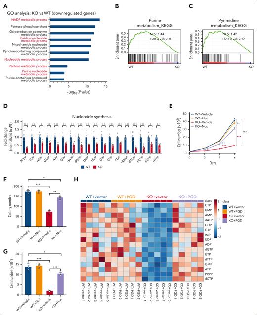 PI3Kγ maintains the nucleotide metabolism of LSCs. (A) GO (biological process) analyses were performed with transcriptome data of WT and Pik3cg-KO BM L-GMP cells at 4 weeks after primary transplantation (n = 3 mice per group). (B-C) Gene set enrichment analyses evaluating changes in purine metabolism (B) and pyrimidine metabolism (C) in WT and Pik3cg-KO BM L-GMP cells at 4 weeks after primary transplantation. (D) Pyrimidine and purine metabolite changes in WT and Pik3cg-KO BM L-GMP cells measured via metabolomics at 4 weeks after primary transplantation (n = 6). (E) Nucleoside partial rescue of growth inhibition of Pik3cg-KO BM AML cells in liquid culture at 4 weeks after primary transplantation (n = 3). (F-G) Colony numbers (F) and their derived cell counts (G) were determined 6 days after WT and Pik3cg-KO BM L-GMP cells were seeded in the methylcellulose medium containing nucleosides at 4 weeks after primary transplantation (n = 3). (H) The metabolites in the nucleotide synthesis were measured in WT, Pgd-overexpressing WT, Pik3cg-KO, and Pgd-overexpressing KO L-GMP cells and normalized against WT+vector cells 4 weeks post-transplantation (n = 5). Data are represented as mean ± SEM. Student 2-tailed unpaired t test for panel D and 1-way ANOVA with Tukey’s multiple comparison test for panels E-G were used for the comparison of statistical significance. ∗P < .05; ∗∗P < .01; ∗∗∗P < .001.