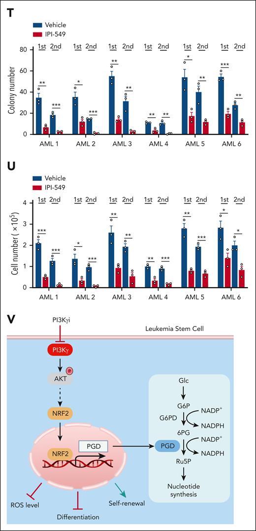 Pharmaceutical inhibition of PI3Kγ suppresses the progression of AML. (A) Representative images of colony formation of mouse BM MLL-AF9+ AML cells upon 1 μM IPI-549 treatment. Scale bar, 20 μm. (B-C) Colony numbers (B) and derived total cell counts (C) of mouse BM AML cells upon 1 μM IPI-549 treatment were calculated (n = 3). (D-E) The frequencies of leukemia cells in the PB (D, n = 6) and overall survival (E, n = 6) were compared among the recipients transplanted with mouse MLL-AF9+ AML cells, followed by 15 mg/kg IPI-549 treatment starting at 2 weeks after transplantation. (F-G) The percentages of human CD45+ AML cells in the PB (F, n = 6) and the overall survival (G, n = 6) were compared in the recipients transplanted with PDX1 cells, followed by 15 mg/kg IPI-549 treatment starting at 2 weeks after transplantation. (H-I) The percentages of human CD45+ AML cells in the PB (H, n = 6) and the overall survival (I, n = 6) were compared in the recipients transplanted with PDX2 cells, followed by 15 mg/kg IPI-549 treatment starting at 2 weeks after transplantation. (J-K) The percentages of human CD45+ AML cells in the PB (J, n = 6) and the overall survival (K, n = 6) were compared in the recipients transplanted with PDX3 cells, followed by 15 mg/kg IPI-549 treatment starting at 2 weeks after transplantation. (L-S) Primary AML patient cells were treated with 5 μM IPI-549. Cell number was calculated at the indicated time points (n = 3). (T-U) Colony numbers (T) and derived total cell counts (U) of primary AML patient cells upon 5 μM IPI-549 treatment were calculated (n = 3). (V) Working model for the functions of PIK3CG in leukemogenesis (PI3Kγi: PI3Kγ inhibitor). Data are represented as mean ± SEM. Student 2-tailed unpaired t test for panels B-D,F,H,J,L-U and log-rank test for panels E,G,I,K were used for the comparison of statistical significance. ∗P < .05; ∗∗P < .01; ∗∗∗P < .001.