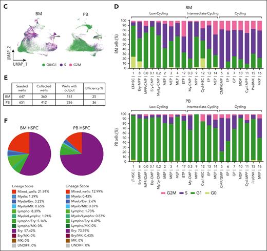 cHSPCs show a preactivated state associated with higher in vitro differentiation efficiency than BM-HSPCs. (A) Tile plot of the top 5 GO-BP macrocategories for each cluster. Statistically significant GO-BP ontology gene sets (adjusted P < .05) with an enriched expression in PB (NES > 0) or BM (NES < 0) are shown in blue and red, respectively. For each macrocategory, color intensity is proportional to NES absolute values. Macrocategories were classified in diverse groups, according to the associated biological functions. (B) Heat map showing the scaled expression of cluster 1 marker genes that are differentially expressed between PB and BM (adjusted P < .05; logFC ≥0.4 or ≤0.4.) cells. Genes are grouped by biological functions. Annotation for BM (red) and PB (blue) cells is reported. (C) UMAP embedding grouping cells by source and coloring by inferred cell cycle. (D) Histograms representing the percentage of cells in G0, G1, S, and G2M cell cycle phases for each cluster in the BM (top) and the PB (bottom) data sets. The x-axis shows cluster annotation according to the HSPC subset transcriptional signatures. Classification of the cell cycle activity was performed on the overall data set, shown in supplemental Figure 7B, and then reported on BM (top) and PB (bottom) single data sets. (E) Summary of the differentiation efficiency of PB-HSPCs (n = 4) and BM-HSPCs (n = 3) in our single-cell in vitro differentiation assay. The number of seeded wells, the count of wells showing differentiated progeny after 3 weeks of culture, and the total differentiation efficiency starting from one single cell are reported. (F) Pie charts representing the frequencies of BM- and PB-HSPC showing specific lineage scores detected at the end of the single-cell in vitro differentiation assay. GO-BP, gene ontology-biological processes; NES, normalized enrichment score.