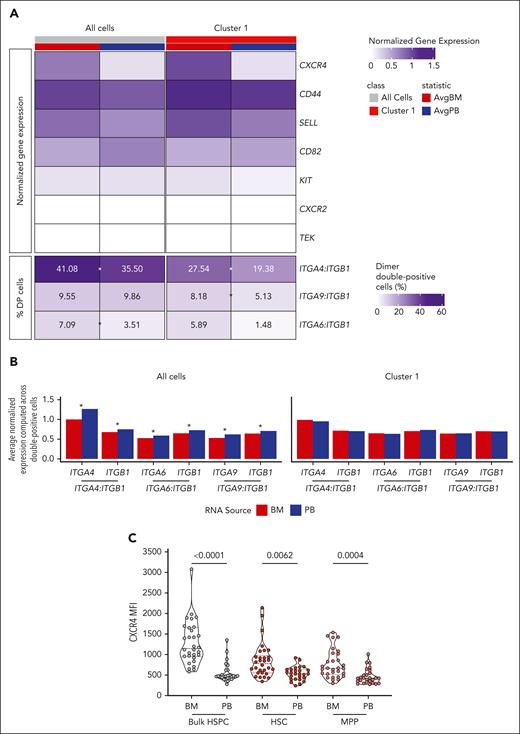 cHSPCs display reduced expression of molecules controlling BM retention. (A) Heat map showing the average normalized gene expression of factors controlling BM retention (top) and the percentage of cells coexpressing genes encoding for integrins driving BM homing (dimer-DP cells) (bottom) in all cells as well as in cells from cluster 1 (LT-HSC) of BM (red) and PB (blue) origin. Asterisks show statistically significant differential frequencies of DP cells between the 2 sources (χ2 test, Bonferroni-adjusted P < .05). (B) Bar plots showing the average normalized expression of genes encoding for single integrin chains in ITGA4:ITGB1-, ITGA6:ITGB1-, and ITGA9:ITGB1-DP cells from total data set and LT-HSC (cluster 1) of BM (red) and PB (blue) origin. Asterisks show statistically significant differential gene expression between the 2 sources (2-sided Student t test, Bonferroni-adjusted P < .05). (C) Violin plots showing CXCR4 mean intensity of fluorescence (MFI) in total HSPCs, HSCs, and MPPs derived from HD-BM (n = 30) and -PB (n = 26). Mann-Whitney statistical test was applied for groups’ comparison and single P values are reported within the graph. AvgBM, average normalized gene expression in BM cells; AvgPB, average normalized gene expression in PB cells.