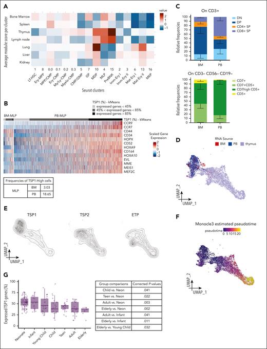 cHSPC subsets show differential migratory propensities toward extramedullary organs. (A) Heat map showing the scaled organ-specific module scores (top-20 DE genes, rows) evaluated for each PB-HSPC cluster (columns). (B) Heat map showing the scaled expression levels of TSP1 genes (rows) across MLPs (columns, clusters 4). Cells were clustered into K = 3 groups by K-means clustering algorithm. The table below displays the proportion of TSP1-high MLP in BM and PB. (C) Histograms showing the relative frequencies of the lymphoid cellular outputs of BM- and PB-MLPs detected at the end of the T-cell differentiation assay. The histogram above displays the proportions of CD4/CD8 double-negative (DN), CD4/CD8 double positive (DP), CD4 single-positive (CD4+ SP), and CD8 single-positive (CD8+ SP) cells detected within CD3+ cell compartment. The histogram below shows the proportions of T-cell precursors within the CD3– CD56– CD19– cell fraction. Data are shown as mean ± SEM. (D) UMAP embedding of the integrated scRNAseq data set, coloring cells by source: BM (red), PB (blue), and thymus (violet). (E) Density plots, showing cell classification as TSP1, TSP2, or ETP. (F) UMAP embedding, showing Monocle3 estimated pseudotime. (G) Percentages of TSP1 genes expressed (UMI > 0) by lymphoid–circulating CD34+ cells selected from a published peripheral blood mononuclear cells (PBMC) scRNAseq data set of healthy individuals from distinct ranges of age.47 The significance of the 1-way analysis of variance test across age classes revealed differences in the percentage of expressed TSP1 genes (P < .0001). These differences were then assessed through pairwise t test. Multiple hypotheses testing issue was accounted for adjusting the P values through the Benjamini-Hochberg method.