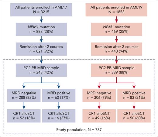 Flow diagram of patients included in the study from AML17 and AML19. CR1 alloSCT, allogeneic stem cell transplantation in first complete remission.