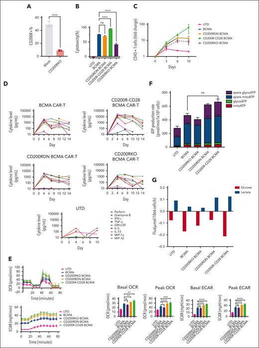The CD200R-CD28 switch receptor shows improved benefit compared with CD200RDN or CD200R knockout approaches. (A) CD200R knockout was measured by flow cytometry on day 3. The results shown are the averages of 3 independent experiments on samples from different healthy donors. (B) BCMA CAR T cell groups as indicated were tested for their cytotoxicity at an E:T ratio of 0.3 for 3 days. The results shown are from a representative experiment (values represent the average ± SD of triplicates). (C) CAE for CAR T-cell groups as indicated were cocultured with RPMI-CD200 cells for 10 days at an E:T ratio of 0.3. Flow cytometry cell counting for CD45+ T cells was performed at indicated time points. The results show a representative experiment of repeats with CAR T cells made using samples from 2 different healthy donors. (D) Supernatants collected from the CAE shown in panel C at the indicated time points were assayed in the IsoPlexis CodePlex 32-plex chip and all cytokines and chemokines elevated above background in at least 1 group were plotted. (E) CAR T cells from the CAE shown in panel C were assayed using the SeaHorse platform at baseline and after the first target cell incubation on day 4, to measure the oxygen consumption rate and extracellular acidification rate (ECAR) in order to assess facets of T-cell metabolism. Data are shown as mean ± SD, ∗∗P < .01, ∗∗∗P < .001, and ∗∗∗∗P < .0001, by either Student t test with Welch correction (A), unpaired t test with Welch correction and multicomparison correction by false discovery rate (FDR) (B), and 1-way ANOVA with Šidák multiple comparison test (E).