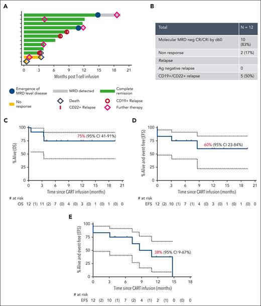Outcomes. (A) Swimmer plot representing postinfusion course for each of the enrolled patients. (B) Summary of response and relapses. Kaplan-Meier curves for 12-month OS with 12 patients at risk and 3 events (C), 12-month EFS with event being nonresponse, morphologic relapse, or death, with 12 patients at risk and 4 events (D), and 12-month “stringent EFS,” with events being nonresponse, morphologic relapse, or emergence of MRD level disease, death, and need for further therapy, with 12 patients at risk and 7 events (E). Ag, antigen.