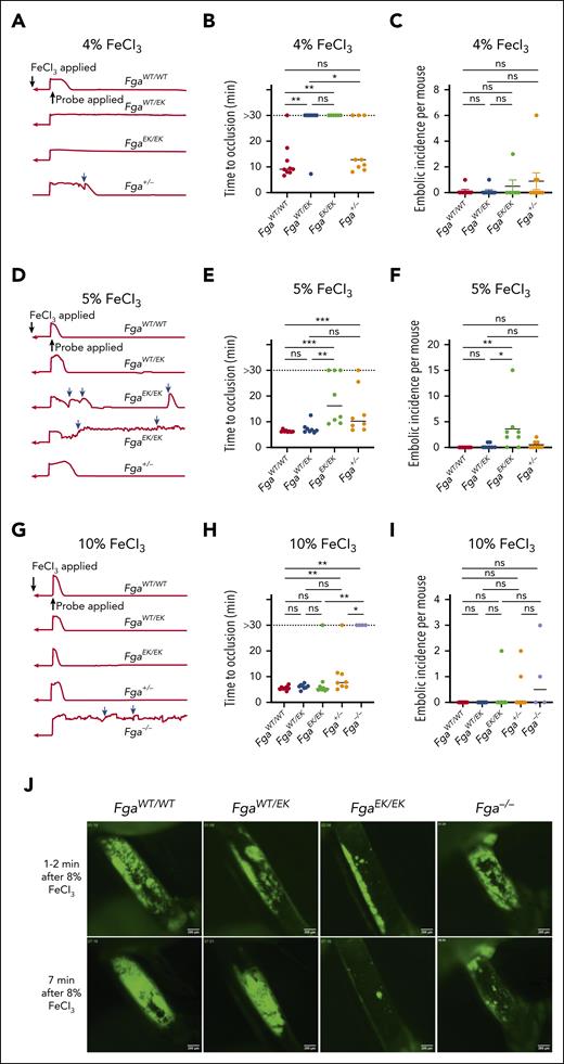 FgaWT/EK and FgaEK/EK mice are protected against the FeCl3-induced model of AT depending on injury severity. (A) Representative traces of blood flow, (B) vessel occlusion times, and (C) embolic incidence per mouse after a 3-minute exposure of 4% FeCl3 in FgaWT/WT, FgaWT/EK, FgaEK/EK, and Fga+/− mice. (D) Representative traces of blood flow, (E) vessel occlusion times, and (F) embolic incidence per mouse after 3-minute exposure of 5% FeCl3 in FgaWT/WT, FgaWT/EK, FgaEK/EK, and Fga+/− mice. (G) Representative traces of blood flow, (H) vessel occlusion times, and (I) embolic incidence per mouse after 3-minute exposure of 10% FeCl3 in FgaWT/WT, FgaWT/EK, FgaEK/EK, Fga+/−, and Fga−/− mice. Blue arrows indicate embolic events. Horizontal bars indicate the median. Data were analyzed using Kruskal-Wallis test. (J) Representative images of platelet accumulation (green) in the carotid arteries after injury with 8% FeCl3 for 1 minute. ∗P < .05; ∗∗P < .01; ∗∗∗P < .001. min, minute; ns, not significant.