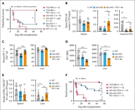 PD-1 blockade restored the GVHD-inducing capacity of Id3-cKO T cells. (A-E) Balb/b mice were subjected to total body irradiation (5 Gy on day −1 and 5 Gy on day 0) followed by infusion of 5 × 106 B6 × B6/SJL F1(CD45.1+CD45.2+) TCD-BM alone or together with 1 × 106 B6 (CD45.1−CD45.2+) naïve CD4+ and 5 × 105 B6 (CD45.1−CD45.2+) naïve CD8+ WT or Id3-cKO T cells. Anti–PD-1 antibody (200 μg per mouse per injection) was administered intraperitoneally on days 0, 3, 5, and 7 after HSCT. In some experiment, isotype immunoglobulin G (IgG) was injected as control. (A) Survival rates of Balb/b mice. (B) Seventeen days after HSCT, cells were isolated from the spleen, liver, and intestine of recipients, enumerated and stained for flow cytometry analysis. (C) Graphs show the percentage of PD-1+ donor CD4+ T cells in the spleen and liver. (D) PD-1 protein levels on the surface of donor CD4+ T cells isolated from the spleen and liver of Balb/b recipients. (E) The number of IFN-γ+GM-CSF+ population in the spleen and liver. (F) Balb/c transplantation was performed as described in Figure 1. Anti-PD1 antibody was administered with the same regimen as in Balb/b recipients. Graph shows the survival rate. ∗P < .05; ∗∗P < .01; ∗∗∗P < .001, Student t test.