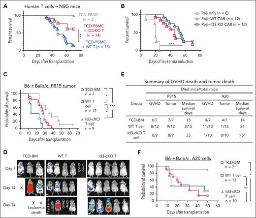 ID3 ablation in human T cells reduces xeno-GVHD progression while preserving antitumor activity. ID3 was knocked out from human T cells (including both CD4+ T and CD8+ T cells) using CRISPR-Cas9 technology and maintained in culture for 7 to 9 days. NSG mice were IV infused with T-cell depleted peripheral blood mononuclear cells (TCD-PBMCs; 10 × 106 cells per mouse) alone or together with WT or ID3-CRISPR-KO human CD4+ T cells (10 × 106 cells per mouse) and CD8+ T cells (10 × 106 cells per mouse). (A) Survival rates of NSG mice receiving WT and ID3-CRISPR-KO human T cells. (B) The overall survival of leukemia-bearing mice treated with or without WT or ID3-CRISPR-KO CD19-CAR T cells (n = 8-12). (C-F) Balb/c mice were subjected to total body irradiation (4.5 Gy on day −1 and 4 Gy on day 0) followed by infusion of 5 × 106 B6 TCD-BM alone or together with 3 × 105 B6 (CD45.1-CD45.2+) naïve WT or Id3-cKO CD4+ T cells and 4 × 105 WT or Id3-cKO CD8+ T cells. Recipient mice were challenged with luciferase-expressing P815 mastocytoma cells or A20 lymphoma cells before T-cell infusion. (C) Survival probability. (D) Representative images of tumor luciferase activity detected with live animal in vivo imaging system (IVIS) on days 7, 14, and 34 after transplantation. (E) Summary of GVHD death and tumor death in allo-HSCT mice challenged by P815 cells and A20 cells. (C-E) All Balb/c mice receiving TCD-BM died from tumor; WT donor T cells induced antitumor activity with prolonged median survival time (27.5 days), but all succumbed to tumor and/or GVHD by day 38; in contrast, donor T cells lacking Id3 preserved beneficial GVT effects, leading to significantly improved survival of tumor mice undergoing allo-HSCT. (F) Survival of animals challenged with A20 lymphoma cells. ∗P < .05; ∗∗P < .01; ∗∗∗P < .001. GVT, graft-versus-tumor.