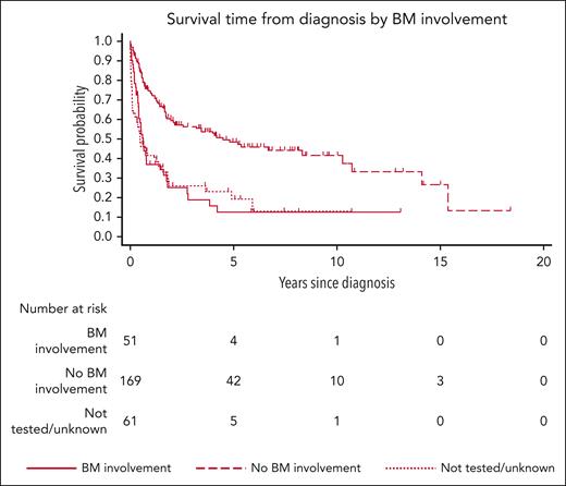 Survival time based on BM status.
