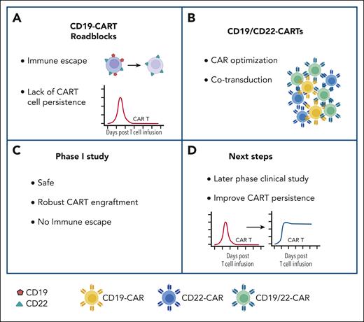 Novel CD19/CD22-CAR T-cell product overcomes one of the current roadblocks of CD19-CAR T-cell therapy (CART) for ALL. (A) Current roadblocks of CART include immune escape and limited persistence. (B) Novel CD19/CD22-CART product generated by cotransduction with optimized CARs: product contains T cells expressing both CARs (green) or one of the two CARs (blue or yellow). (C) Outcome of phase 1 clinical study. (D) Next steps. For additional details, see text. Figure created with BioRender.com.