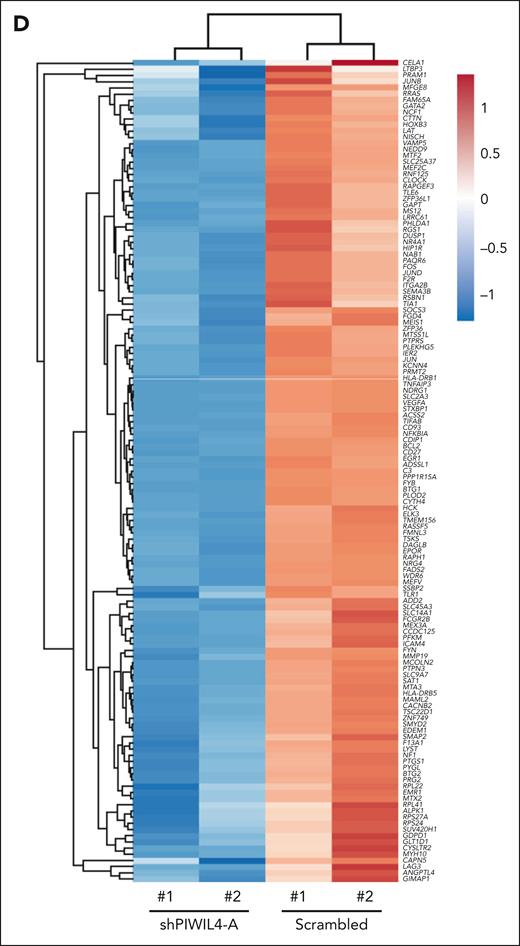PIWIL4 binds to cancer-associated protein coding RNA in AML cells and its depletion induces deregulation of LSC and DNA repair–associated pathways. (D) Heatmap of differentially expressed genes in shPIWIL4 vs scrambled transduced THP-1 cells, depicting expression of LSC-associated genes identified in HSC/CMP/GMP lineage LSCs from MLL-AF9, MOZ-TIF2, and MN1 models.