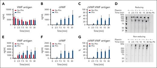cVWF release from microthrombi. Microthrombi were exposed to plasmin (75 μg/mL) or buffer. (A-C) Platelet-free supernatants were collected and analyzed by ELISA. Next, preformed microthrombi were separated from soluble VWF by centrifugation and subjected to either degradation by plasmin (75 μg/mL) or buffer. Platelet complexes were removed by a second centrifugation step and supernatants analyzed by western blotting (D) and ELISA (E-G). Data represent 3 independently executed experiments. Bar graphs show means ± SD. No Plt, no platelets; Plm, plasmin.