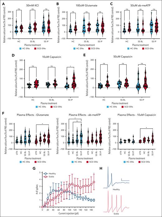 HC and SCD iSNs are differentially sensitized to electrical and agonist stimulation. HC and SCD iSNs treated with plasma samples from healthy patients (HC), patients with SCD at baseline (SS BL), or patients with SCD experiencing an acute pain crisis (SS IP) show changes in functional response to agonists. No significant differences in response to KCl (A), glutamate (B), or ab-meATP (C) were found between HC and SCD iSNs after any plasma treatments (2-way ANOVA; ns, not significant). (D) Treatment of SCD iSNs with SS IP plasma did significantly increase response to 10 μM capsaicin compared with HC iSN response after SS IP plasma treatment (2-way ANOVA, ∗P < .05). (E) No differences found between HC and SCD iSN response to 50 μM capsaicin after plasma treatment (2-way ANOVA, ns). (F) Data from panels B through D represented to compare effects of plasma on iSN response. SS IP plasma significantly increased SCD iSN response to glutamate (F, left) and 10 μM capsaicin (F, right) compared with untreated (UTX) SCD iSNs but in HC iSNs significantly increased response to ab-meATP only (F, middle); 2-way ANOVA, ∗P < .05, ∗∗P < .005. (G) SCD iSNs show increased intrinsic membrane excitability. Relationship between action potential firing and injected current (2-way repeated-measures ANOVA, significant interaction between genotype and current injection F(19,341) = 1.892, ∗P = .0139; Bonferroni multiple comparison at 190 pA HC vs SCD, ∗P = .0427); n = 2 independent differentiations. (H) Representative waveforms show current-evoked action potential firing from each treatment group. Calibration: 10 mV, 100 ms.